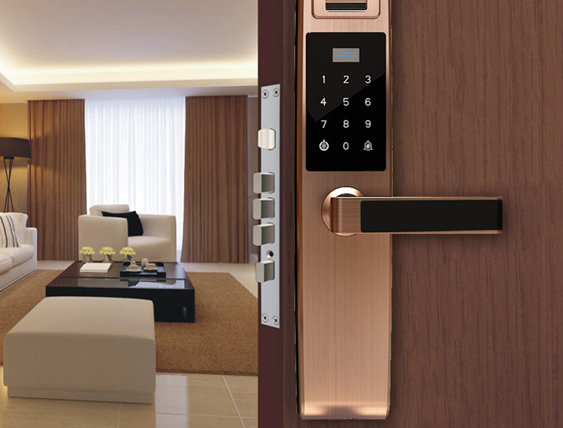 ����ʿ�����i�S��-��ƷD8202F����